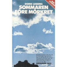 Sommaren före mörkret