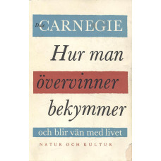 Hur man övervinner bekymmer och blir vän med livet