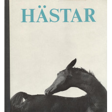 Hästar