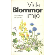 Vilda blommor i miljö