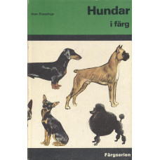 Hundar i färg