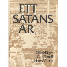 Ett satans år