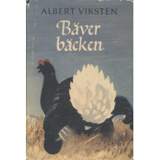 Bäverbäcken