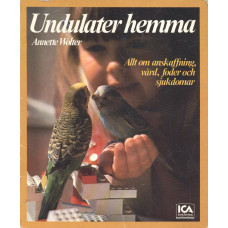 Undulater hemma