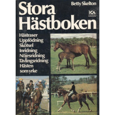 Stora hästboken