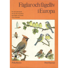 Fåglar och fågelliv i Europa