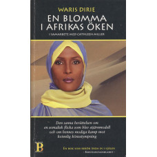 En blomma i Afrikas öken