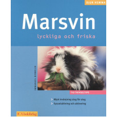 Marsvin 
Lyckliga och friska