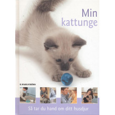 Min kattunge
Så tar du hand om ditt husdjur