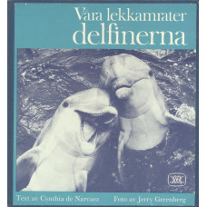 Våra lekkamrater delfinerna