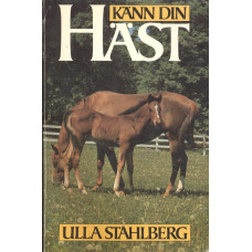 Känn din häst