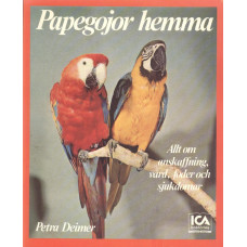 Papegojor hemma