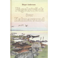 Fågelsträck över Kalmarsund