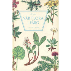 Vår flora i färg