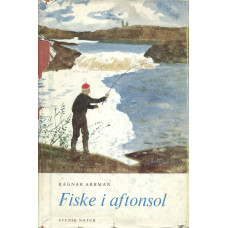 Fiske i aftonsol