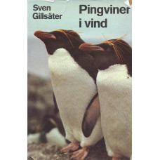 Pingviner i vind