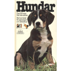 Hundar