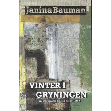 Vinter i gryningen