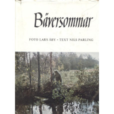 Bäversommar