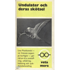 Undulater och deras skötsel