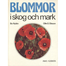 Blommor i skog och mark