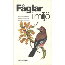 Fåglar i miljö