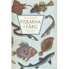 Fiskarna i färg