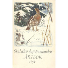 På skidor
1956