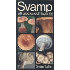 Svamp att plocka och laga