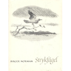 Strykfågel