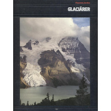 Glaciärer