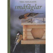 Våra vanligaste småfåglar