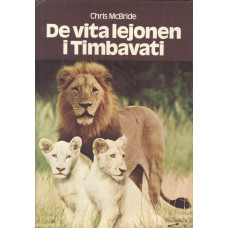 De vita lejonen i Timbavati