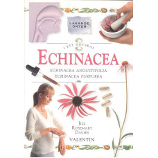 Läkande örter i ett nötskal
Echinacea