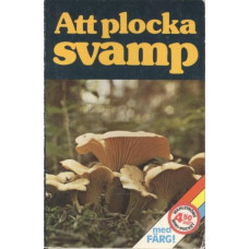 Att plocka svamp