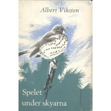 Spelet under skyarna