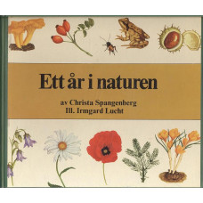 Ett år i naturen