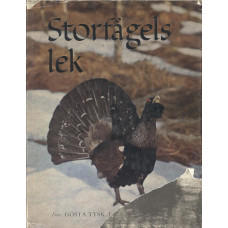 Storfågels lek