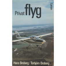 Privatflyg