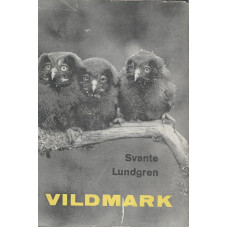 Vildmark