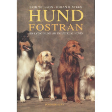 Hundfostran