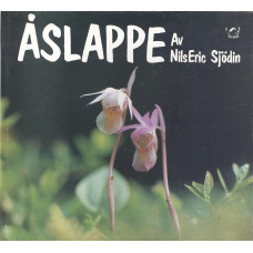 Åslappe