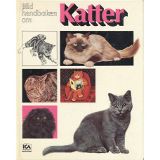 Bildhandboken om katter