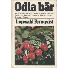 Odla bär