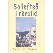 Sollefteå i närbild