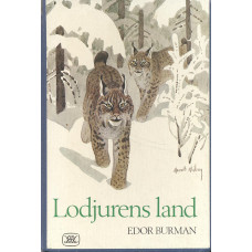 Lodjurens land