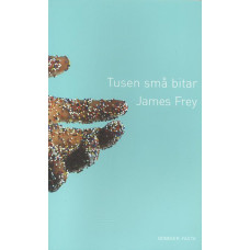 Tusen små bitar