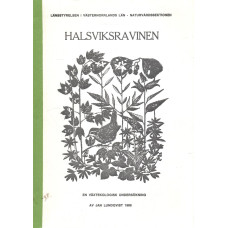 Halsviksravinen