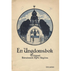 En ungdomsbok