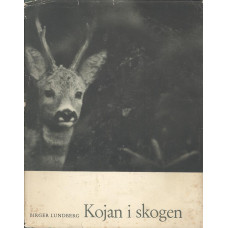 Kojan i skogen